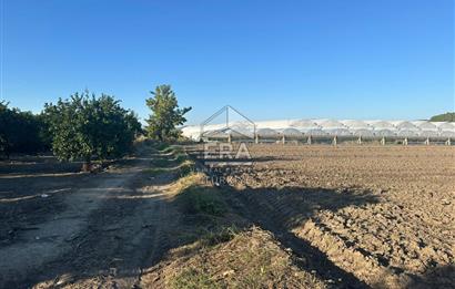 ANTALYA MANAVGAT BEREKET MAHALLESİ SATILIK TEK TAPU TARLA