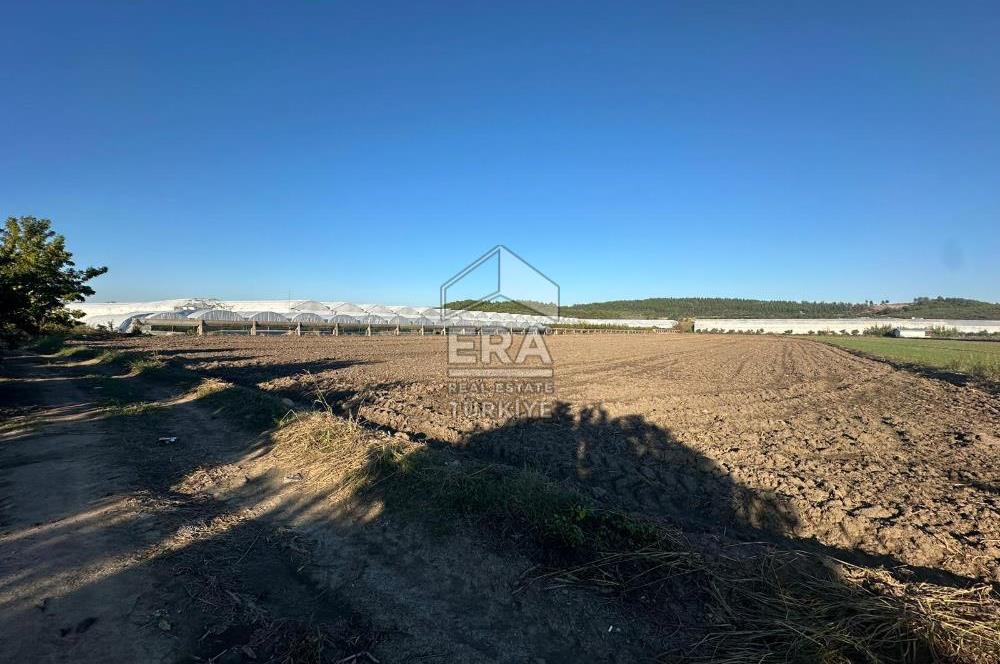 ANTALYA MANAVGAT BEREKET MAHALLESİ SATILIK TEK TAPU TARLA