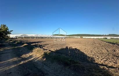 ANTALYA MANAVGAT BEREKET MAHALLESİ SATILIK TEK TAPU TARLA