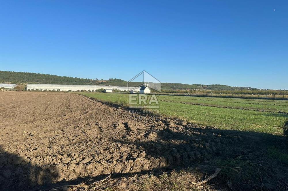 ANTALYA MANAVGAT BEREKET MAHALLESİ SATILIK TEK TAPU TARLA