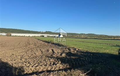 ANTALYA MANAVGAT BEREKET MAHALLESİ SATILIK TEK TAPU TARLA