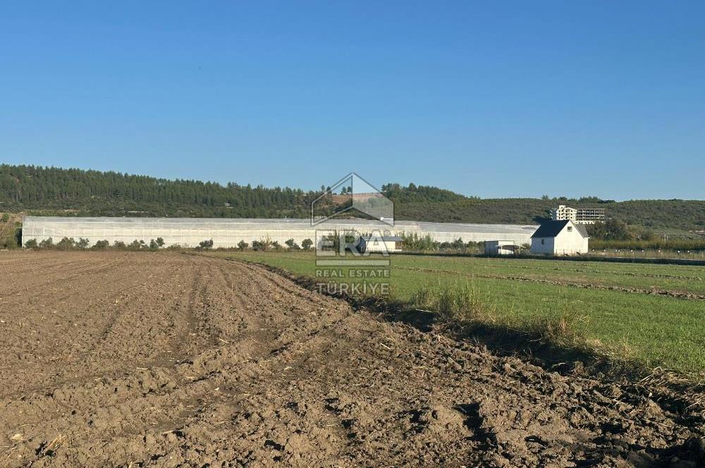 ANTALYA MANAVGAT BEREKET MAHALLESİ SATILIK TEK TAPU TARLA