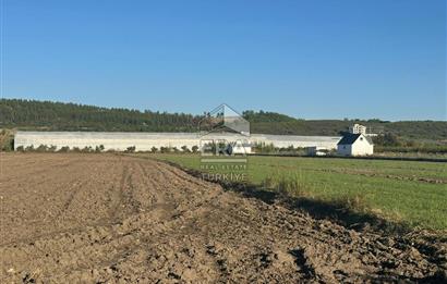 ANTALYA MANAVGAT BEREKET MAHALLESİ SATILIK TEK TAPU TARLA