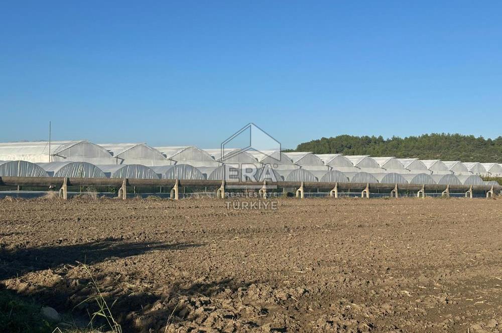 ANTALYA MANAVGAT BEREKET MAHALLESİ SATILIK TEK TAPU TARLA