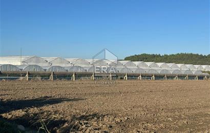 ANTALYA MANAVGAT BEREKET MAHALLESİ SATILIK TEK TAPU TARLA