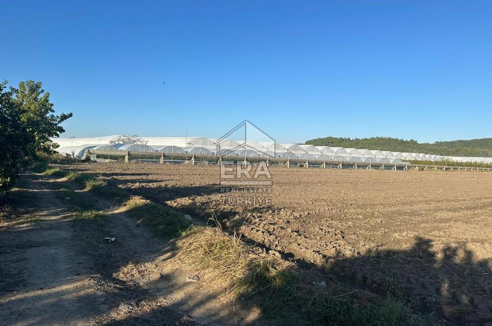 ANTALYA MANAVGAT BEREKET MAHALLESİ SATILIK TEK TAPU TARLA