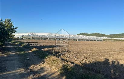 ANTALYA MANAVGAT BEREKET MAHALLESİ SATILIK TEK TAPU TARLA