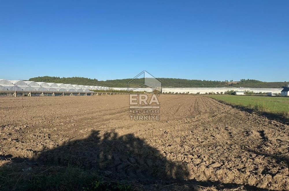 ANTALYA MANAVGAT BEREKET MAHALLESİ SATILIK TEK TAPU TARLA