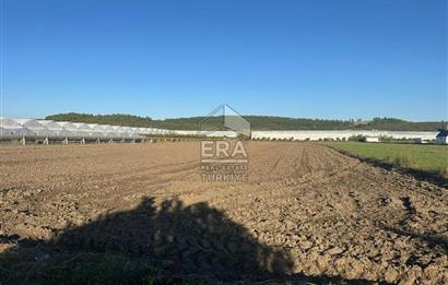 ANTALYA MANAVGAT BEREKET MAHALLESİ SATILIK TEK TAPU TARLA