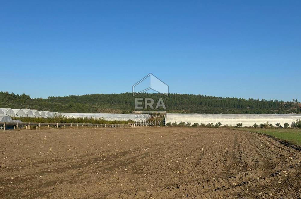 ANTALYA MANAVGAT BEREKET MAHALLESİ SATILIK TEK TAPU TARLA