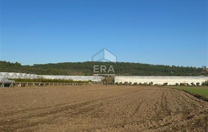 ANTALYA MANAVGAT BEREKET MAHALLESİ SATILIK TEK TAPU TARLA