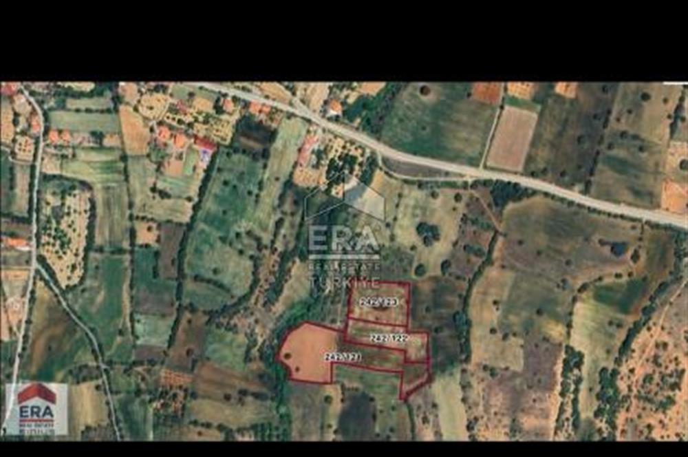 Tavas Vakıf Mahallesi Satılık 20.000m2 Tarım Arazisi 