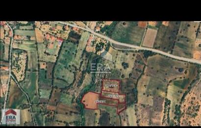 Tavas Vakıf Mahallesi Satılık 20.000m2 Tarım Arazisi 