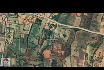 Tavas Vakıf Mahallesi Satılık 20.000m2 Tarım Arazisi  - 8 - 13873