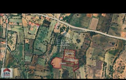 Tavas Vakıf Mahallesi Satılık 20.000m2 Tarım Arazisi 