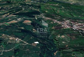 ERA KARAT SERDİVAN ÇUBUKLUDA SATILIK FINDIKLIK - 1 - 13828