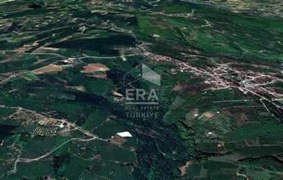 ERA KARAT SERDİVAN ÇUBUKLUDA SATILIK FINDIKLIK