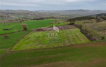 ERA SÖZ GAYRİMENKULDEN BALIKESİR KARESİ KAVAKLI’DA SATILIK İNCİR BAHÇESİ