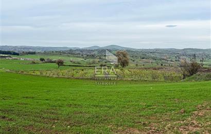 ERA SÖZ GAYRİMENKULDEN BALIKESİR KARESİ KAVAKLI’DA SATILIK İNCİR BAHÇESİ