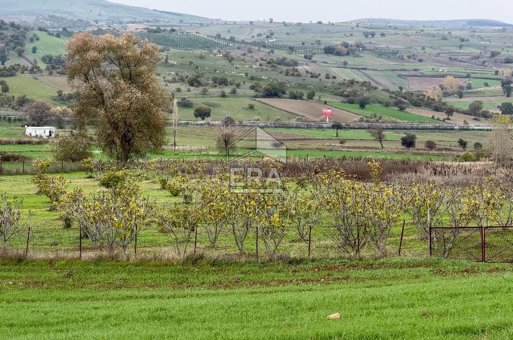 ERA SÖZ GAYRİMENKULDEN BALIKESİR KARESİ KAVAKLI’DA SATILIK İNCİR BAHÇESİ