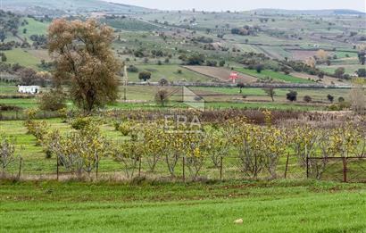ERA SÖZ GAYRİMENKULDEN BALIKESİR KARESİ KAVAKLI’DA SATILIK İNCİR BAHÇESİ