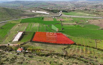 ERA SÖZ GAYRİMENKULDEN BALIKESİR KARESİ KAVAKLI’DA SATILIK İNCİR BAHÇESİ