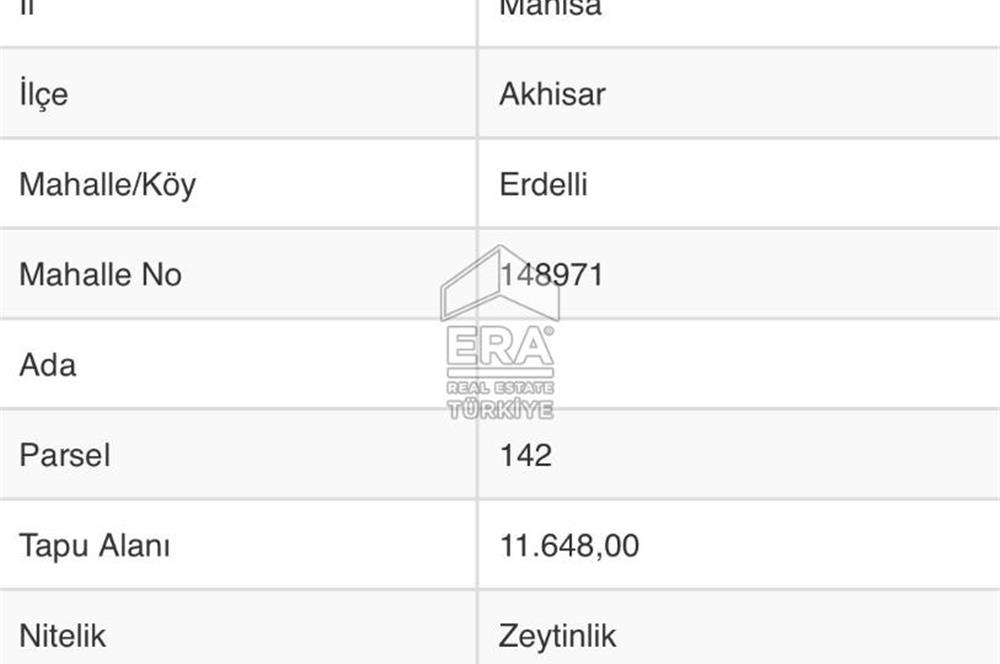 Akhisar Erdellide Müstakil Tapulu 11648 m2 Satılık Zeytinlik