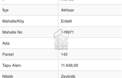 Akhisar Erdellide Müstakil Tapulu 11648 m2 Satılık Zeytinlik
