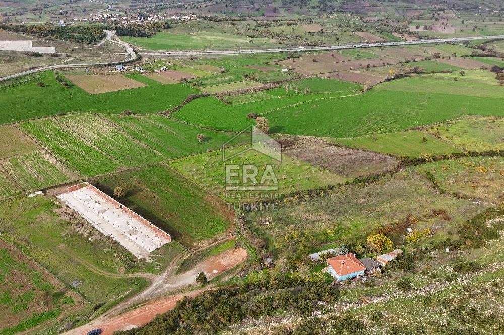 ERA SÖZ GAYRİMENKULDEN BALIKESİR KARESİ KAVAKLI’DA SATILIK İNCİR BAHÇESİ