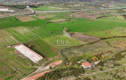 ERA SÖZ GAYRİMENKULDEN BALIKESİR KARESİ KAVAKLI’DA SATILIK İNCİR BAHÇESİ