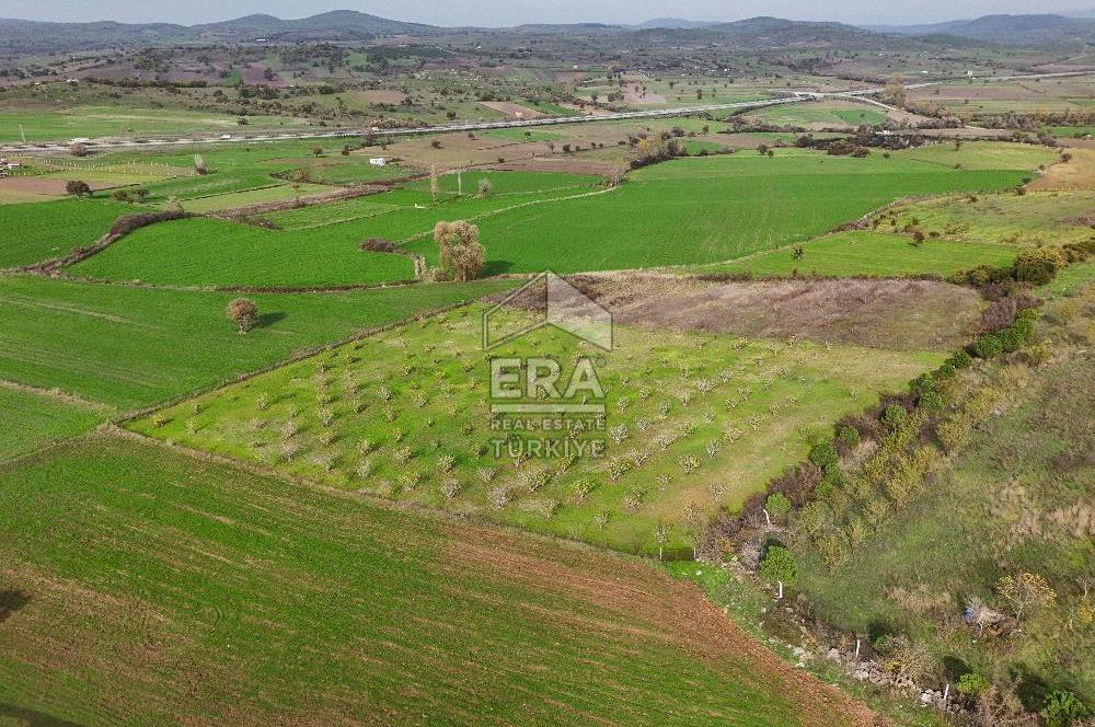 ERA SÖZ GAYRİMENKULDEN BALIKESİR KARESİ KAVAKLI’DA SATILIK İNCİR BAHÇESİ