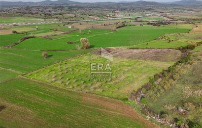 ERA SÖZ GAYRİMENKULDEN BALIKESİR KARESİ KAVAKLI’DA SATILIK İNCİR BAHÇESİ