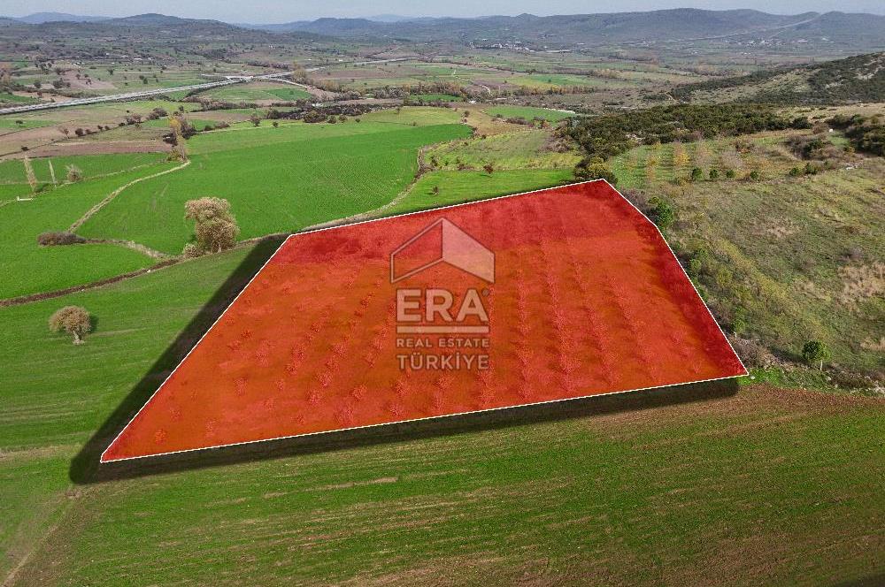 ERA SÖZ GAYRİMENKULDEN BALIKESİR KARESİ KAVAKLI’DA SATILIK İNCİR BAHÇESİ
