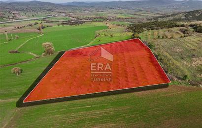 ERA SÖZ GAYRİMENKULDEN BALIKESİR KARESİ KAVAKLI’DA SATILIK İNCİR BAHÇESİ