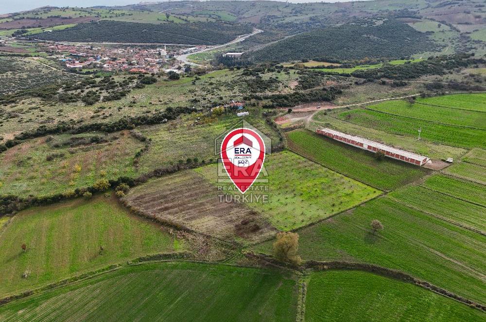 ERA SÖZ GAYRİMENKULDEN BALIKESİR KARESİ KAVAKLI’DA SATILIK İNCİR BAHÇESİ