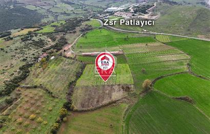 ERA SÖZ GAYRİMENKULDEN BALIKESİR KARESİ KAVAKLI’DA SATILIK İNCİR BAHÇESİ