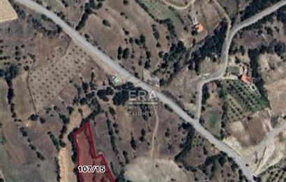 Denizli cameli ayvacıkta satılık 3.576 m2 Arazi