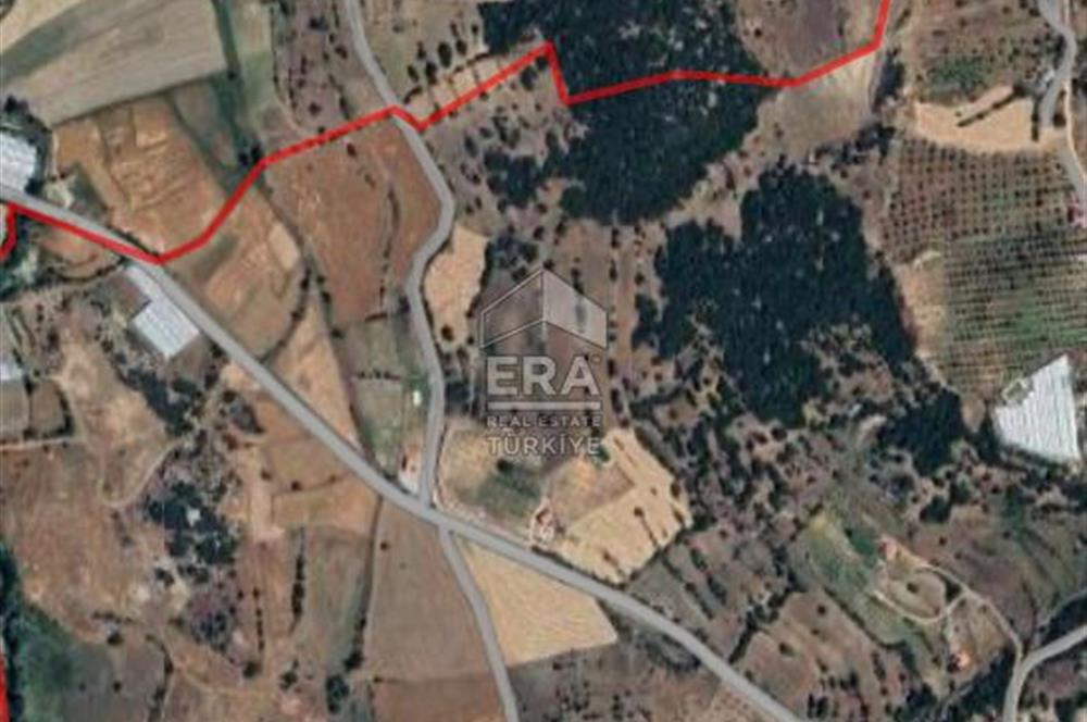 Denizli cameli ayvacıkta satılık 3.576 m2 Arazi