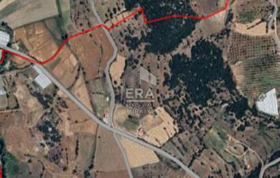 Denizli cameli ayvacıkta satılık 3.576 m2 Arazi