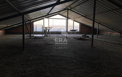 Osmangazi Köprüsü Yanında Deniz & Köprü Manzaralı Müstakil Bina