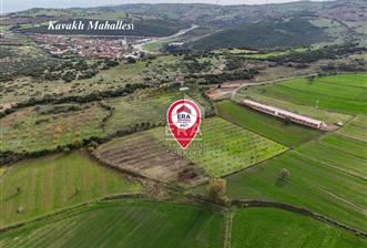 ERA SÖZ GAYRİMENKULDEN BALIKESİR KARESİ KAVAKLI’DA SATILIK İNCİR BAHÇESİ - 3 - 13926