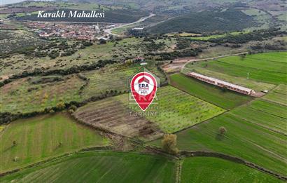 ERA SÖZ GAYRİMENKULDEN BALIKESİR KARESİ KAVAKLI’DA SATILIK İNCİR BAHÇESİ