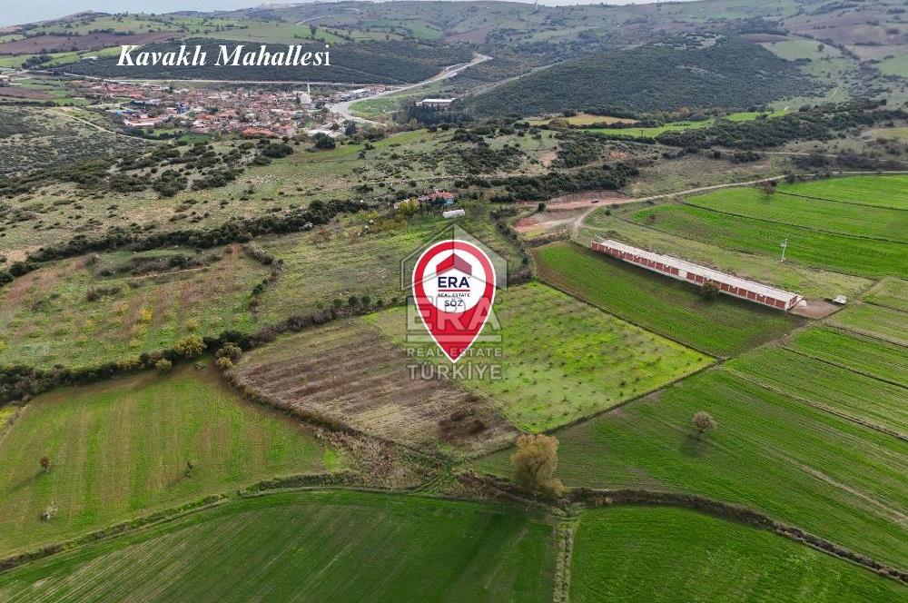 ERA SÖZ GAYRİMENKULDEN BALIKESİR KARESİ KAVAKLI’DA SATILIK İNCİR BAHÇESİ