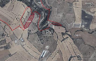 Era Angel'dan Uşak Aktaş Köyünde Satılık Fırsat Yatırımlık Tarla