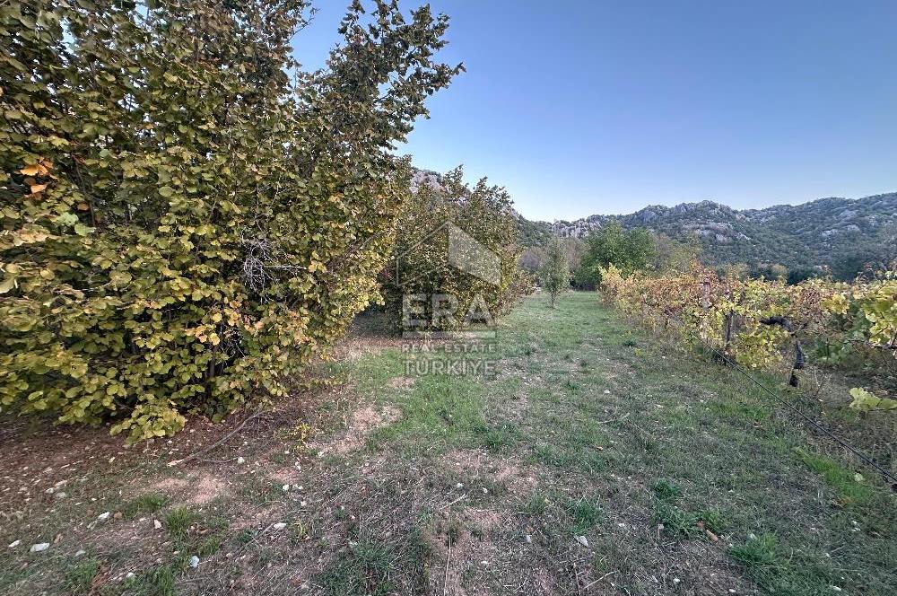 ANTALYA İBRADI YUKARI MAHALLE SATILIK TEK TAPU TARLA