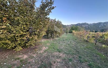 ANTALYA İBRADI YUKARI MAHALLE SATILIK TEK TAPU TARLA