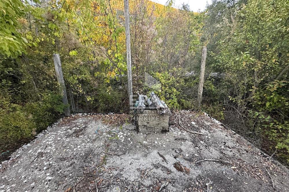 ANTALYA İBRADI YUKARI MAHALLE SATILIK TEK TAPU TARLA