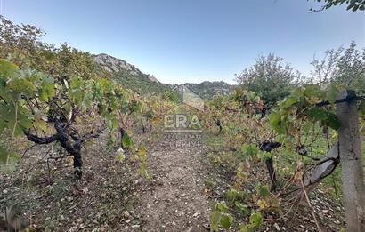 ANTALYA İBRADI YUKARI MAHALLE SATILIK TEK TAPU TARLA