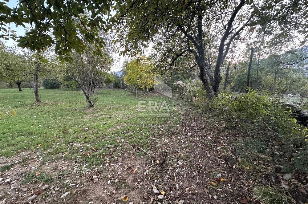 ANTALYA İBRADI YUKARI MAHALLE SATILIK TEK TAPU TARLA