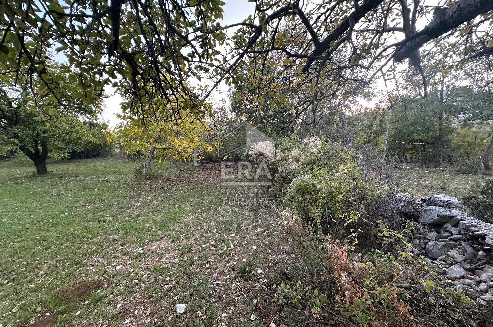 ANTALYA İBRADI YUKARI MAHALLE SATILIK TEK TAPU TARLA